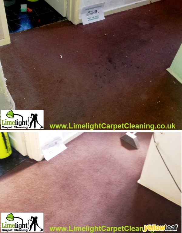 Limelight Carpet Cleaning