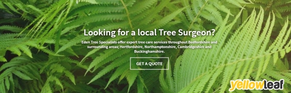 Eden Tree Specialists