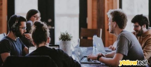 Tripple3media Tripple3media