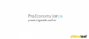 ProEconomy